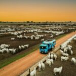 Fiemt e Casa da Indústria de Rondonópolis realizam posse das novas diretorias dos sindicatos industriais da região Sul de Mato Grosso