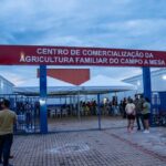 Preços do Café Divergem nas Bolsas Internacionais na Abertura da Semana