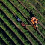 PRF apreende mais de 100 kg de drogas e munições em Rondonópolis/MT