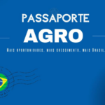 Brasil bate recorde de exportação de açúcar em 2024, mas cenário para 2025 é incerto