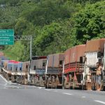 Brasil registra recorde na produção de carne suína em 2024