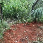 Sema reforça orientação sobre cuidados na observação de animais silvestres