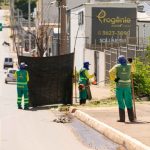 Mercado de feijão preto enfrenta baixa demanda e estoques elevados