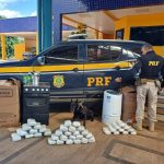 PRF apreende R$ 940 mil em fundo falso de veículo em Cuiabá-MT