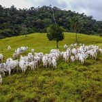 Escolinhas de futebol atendem crianças e adolescentes em cinco polos de Várzea Grande   