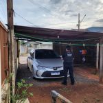 Inovação Sustentável: Pesquisadores Criam Hambúrguer à Base de Coco Babaçu