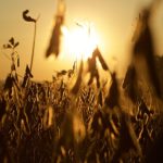 Agricultores destacam incentivo da prefeitura na realização Feira da Família