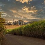 Minas Gerais reforça segurança no campo com lançamento da Agenda Positiva