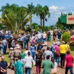 Conectividade no Campo: O Caminho para a Transformação Digital no Agronegócio