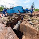 Priming Mostra Potencial no Aumento da Germinação e Resiliência do Tomateiro