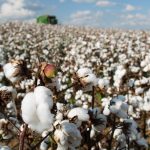 Caravana do Agro Exportador leva conhecimento e oportunidades a mulheres do setor agropecuário em Uberaba