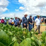 Antecipasto: Inovação e Sustentabilidade na Pecuária Brasileira