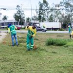 Porto de Paranaguá Responde por 72% do Volume Nacional de Óleo de Soja em Janeiro