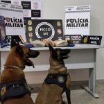 Dona Maria celebra o Dia do Animal de Rua com ações e compromisso pela causa em Primavera do Leste
