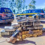Polícia Civil resgata sete cães vítimas de maus-tratos