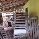 Maio Amarelo 2025 é lançado oficialmente pela PRF em Mato Grosso
