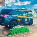 Polícia Militar recupera carga irregular de gado que teria Rondonópolis como destino