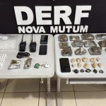 Polícia Civil incinera mais de 50 quilos de drogas