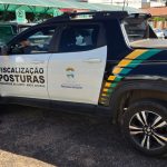 Rondonópolis conquista 16 medalhas em etapa regional dos Jogos Estudantis em Jaciara