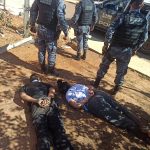 PRF apreende mais de 200 kg de cocaína escondidos em caminhão boiadeiro na BR-070