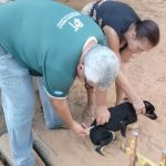 Primavera do Leste prepara criação de parque ecológico com 180 hectares