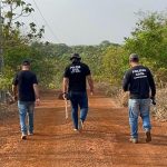 Furto de gado em Juscimeira tem novo desdobramento com mais 36 animais recuperados