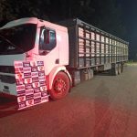 Cavalaria e Força Tática fecham bar que funcionava como ponto de tráfico e prendem 12 pessoas