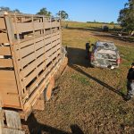 Facção é alvo de megaoperação em Primavera do Leste após sequestro e morte de jovem