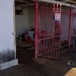 Peão de 20 anos morre após ser pisoteado por touro durante rodeio em exposição agropecuária; veja o vídeo