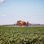 Mato Grosso lidera produção nacional de grãos e amplia participação na safra de 2025