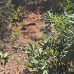 Força Tática apreende duas adolescentes por tráfico de drogas