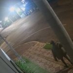 Deputado Thiago Silva reforça cobrança por duplicação do Anel Viário e pavimentação do Campo Limpo