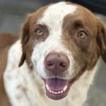 Vereador Irmão Rogério visita Lar da Criança e elogia trabalho de acolhimento em Primavera do Leste