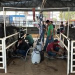 Equipes da Saúde Bucal recebem capacitação promovida pela Secretaria de Saúde de Primavera do Leste em parceria com o CRO-MT
