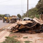 Cães da PRF ajudam a apreender maconha em mala de passageira de ônibus na BR-364