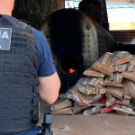 Sema inicia cadastro de voluntários para resgate e manejo de animais silvestres em unidades de conservação
