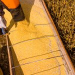 Mato Grosso lidera superávit da balança comercial brasileira no 1º semestre de 2025