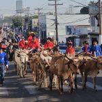 Assaltantes do ‘novo cangaço’ são presos em Rondônia dois dias após ataque em agência bancária de MT