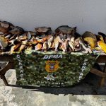 Vigia frustra tentativa de furto em posto de combustíveis no bairro Rui Barbosa, em Rondonópolis