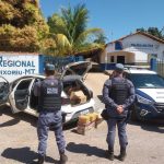 Colisão na MT-130 em Primavera do Leste deixa dois mortos e três feridos