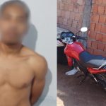 Família colide com anta na MT-130 e escapa ilesa em trecho próximo a Primavera do Leste
