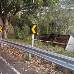 Mato Grosso mantém liderança nacional com mais de 32 milhões de cabeças de gado