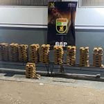 Quadrilha é presa ao tentar roubar 130 cabeças de gado em fazenda