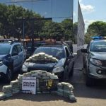 Mato Grosso mantém liderança no rebanho bovino brasileiro em 2025