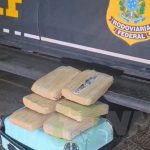 Polícia Civil cumpre mandados contra traficantes responsáveis por movimentar drogas em MT