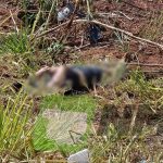 Retomada do período chuvoso exige atenção da população de Rondonópolis
