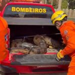 Trecho da Avenida Ary Coelho será interditado nesta segunda-feira em Rondonópolis