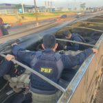 Polícia Civil localiza carro que atropelou e matou ciclista na Rodovia do Peixe em Rondonópolis