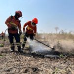Deputado Thiago Silva propõe criação de Escola do Agro em Mato Grosso
