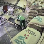 Embarques de açúcar seguem aquecidos nos portos brasileiros